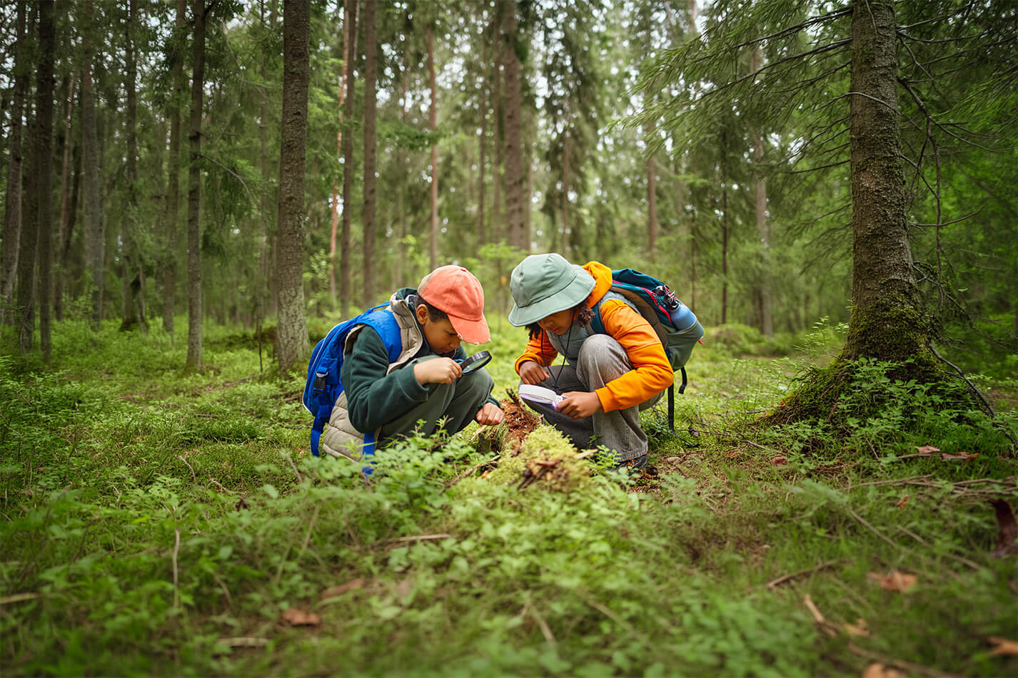 Rapport climatique 2025
